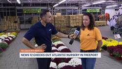 Fall Back: Atlantic Nursery in Freeport Instructional Video