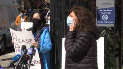 NY Doctor: We are sheep going to slaughter News Clip