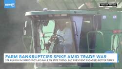 Farm Bankruptcies Rise By 20 Percent In 2019 Amid China Trade War News Clip