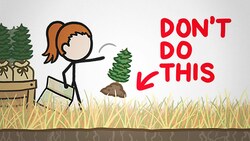 When Tree Planting Goes Wrong Instructional Video