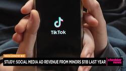 Study: Social Media Ad Revenue From Minors Reached $11 Billion Last Year News Clip