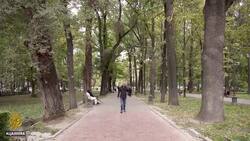 Kyrgyzstan goes to polls amid vote-buying allegations News Clip