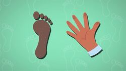 I WONDER - Are Footprints Unique? Instructional Video