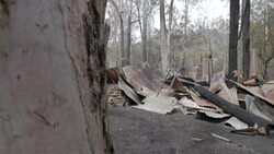 CLEAN : Aftermath of fires in Southeast Australia News Clip
