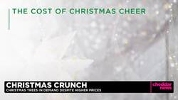 Pricier Christmas Trees Reflect Great Recession-Related Supply, COVID Pressures News Clip
