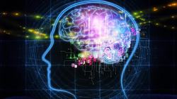 The Science of Taste Instructional Video