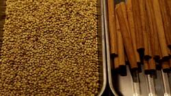 Cari de Madame Instructional Video