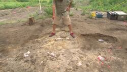 Texas teen digs up 80-million-year-old mosasaur in Manitoba News Clip