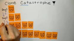 Explicit Formula Geometric Instructional Video