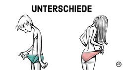 Geschlechterunterschiede Instructional Video