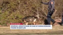 Source: Arrests made in case of human remains found at Babylon park News Clip