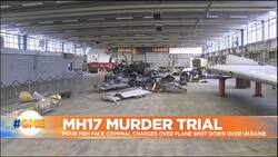 3 Russians, 1 Ukrainian to face trial for alleged involvement downing of MH17 News Clip