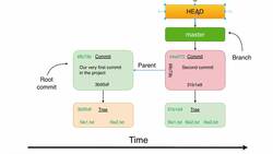 Complete Git Guide: Understand and Master Git and GitHub - What is HEAD in Git? Instructional Video