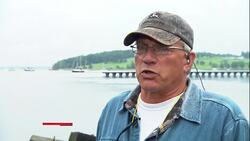 Nova Scotia’s great white sharks may hold key to species’ survival News Clip