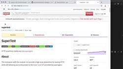Section Intro: Testing Node.js Instructional Video