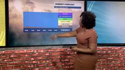 Warm temperatures and mostly sunny skies in the Bronx News Clip