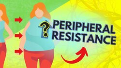 Regulating Peripheral Resistance - Part 2 Instructional Video