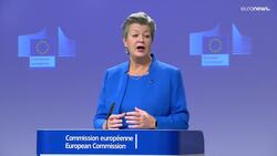 Brussels accused of 'weakening asylum rights' to deal with Belarus border crisis News Clip