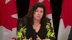 F-35 setbacks worsened by 'outdated information' and 'slowness' from DND: Auditor general News Clip