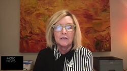 Deans says decision to hire outside interim chief was made because Ottawa police leadership had been 'gutted' News Clip