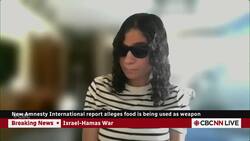 'Like an animal pen': Amnesty International slams Gaza Humanitarian Foundation aid distribution News Clip