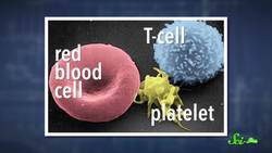 Two New Groundbreaking Cancer Treatments Instructional Video