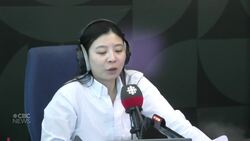 How Edmonton uses data and AI to predict and prevent potholes News Clip