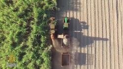 ‘Lights flashing red’ for wildlife amid 69% populations decline News Clip