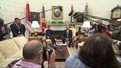 Mueller's testimony poses risk for Trump and Dems Instructional Video