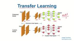Data Science and Machine Learning (Theory and Projects) A to Z - Transfer Learning: What is Transfer learning Instructional Video