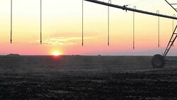 Center pivot irrigation at sunset 7 Stock Footage