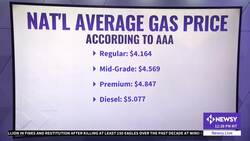 Democrats Accuse Oil Companies Of 'Rip Off' On Gas Prices News Clip