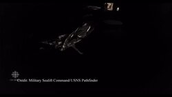 RAW: U.S. navy rescues Montreal sailor News Clip