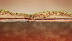 ¿Qué causa los terremotos? Instructional Video