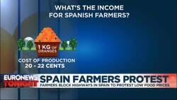 Why are Spanish farmers protesting against low prices? News Clip