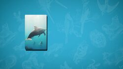 Five Facts - Vertebrates Instructional Video