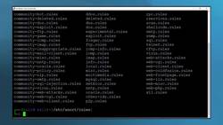 CompTIA Security+ Certification SY0-601: The Total Course - Linux Snort IDS Lab Instructional Video