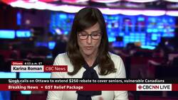 Legislation to provide GST holiday tabled in the House of Commons News Clip