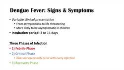 Dengue Fever | Pathophysiology, Symptoms, Diagnosis & Treatment Instructional Video