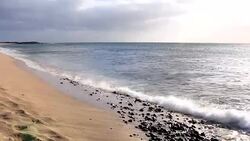 Waves breaking aganis a sand beach at Cape Verde Sal Island Stock Footage