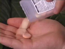 Using the Scientific Method: Introduction Instructional Video