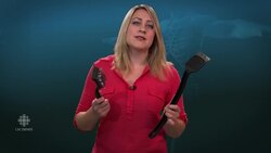 Brushing with danger News Clip