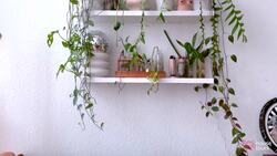 House Tours: A 957-Square-Foot Lofted Home in Orlando, Florida Instructional Video