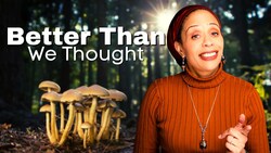 Psychedelics - Here’s Where We Are Instructional Video