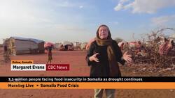 Millions in Somalia facing hunger as drought continues News Clip