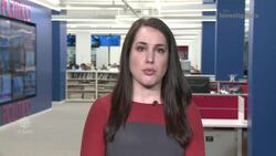 The Investigators with Diana Swain - Hadas Gold on Bill O'Reilly and Investigative Journalism News Clip