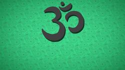 I WONDER - Why Are Cows Scared In India? Me Pregunto - Por Qué Son Sagradas Las Vacas En India? Instructional Video