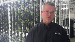 Check out this massive indoor garden feeding the hungry News Clip