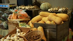 Expert Tips for Safe Home Food Storage Instructional Video