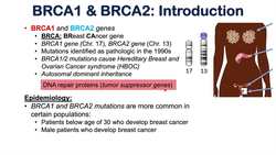 BRCA1 and BRCA2 Mutations & Cancer (Types of Cancer, and Who’s Most At Risk) Instructional Video